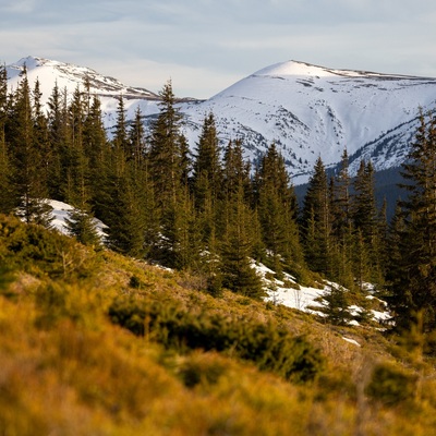 The Carpathian: Spring in Yaremche