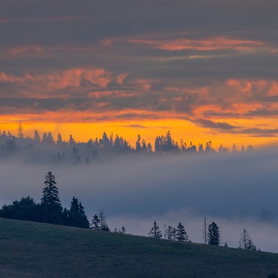 The Carpathian: Summer