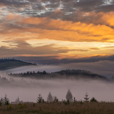 The Carpathian: Summer