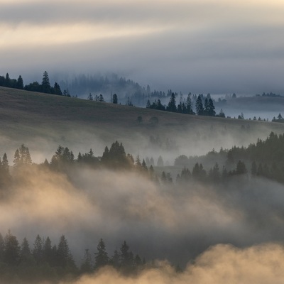 The Carpathian: Summer