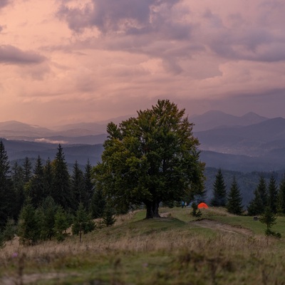 The Carpathian: Summer