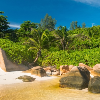 Seychelles 2020