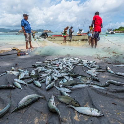 Seychelles 2020