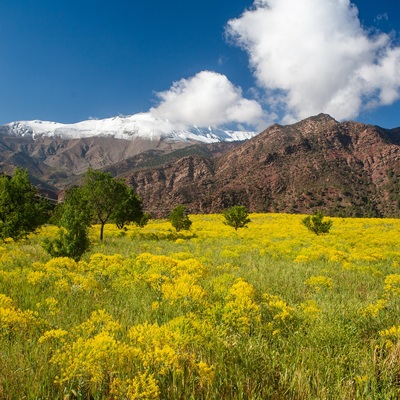 Morocco by bicycle