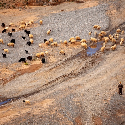 Morocco by bicycle