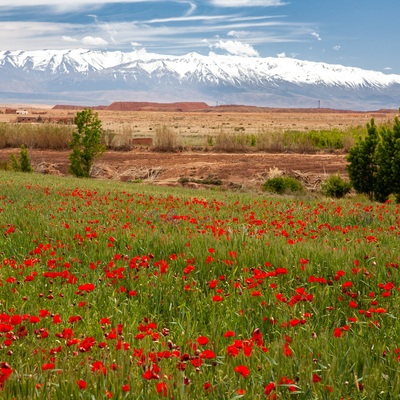 Morocco by bicycle