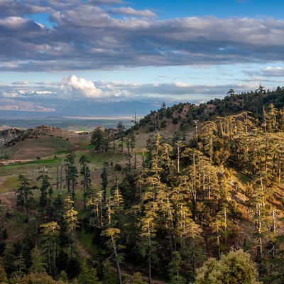 Morocco by bicycle