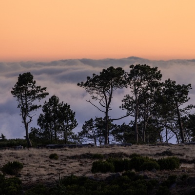 Portugal: Madeira