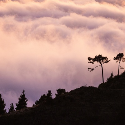 Portugal: Madeira