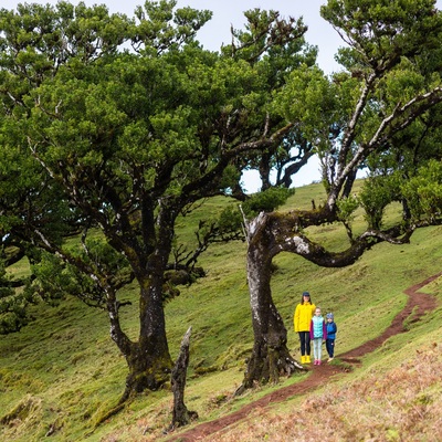 Portugal: Madeira